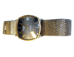 Watch With Non Precious Strap Low Karat